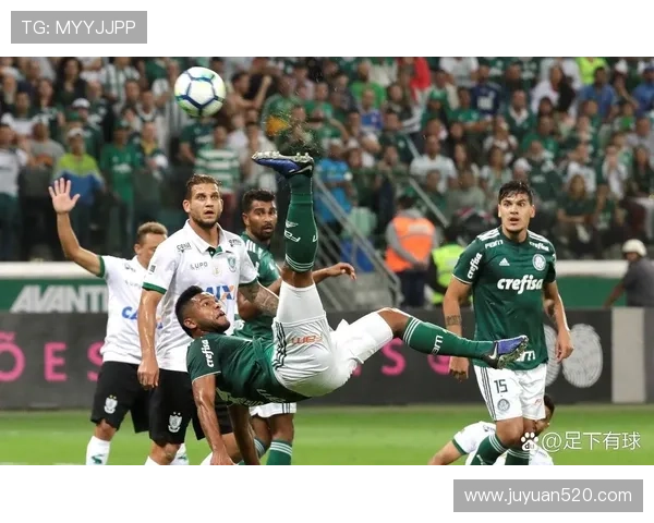 埃斯特旺大腿离队后依然助力帕尔梅拉斯晋级解放者杯决赛